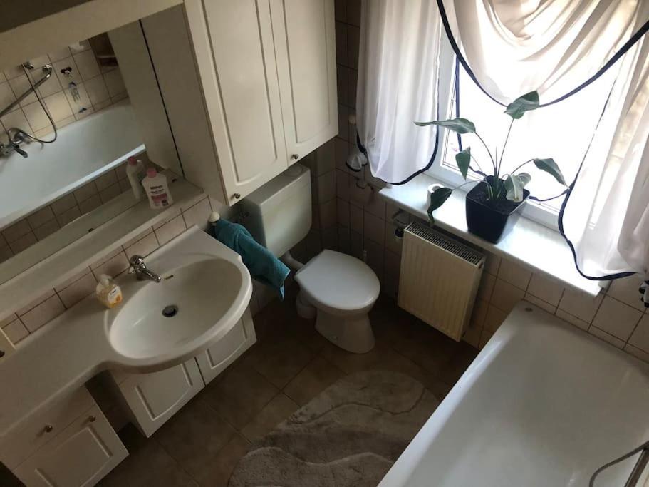 Ferienwohnung In Golssen/Spreewald, Tropical Island Ngoại thất bức ảnh